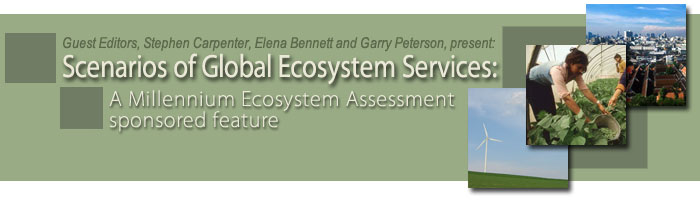 Scenarios of global ecosystem services