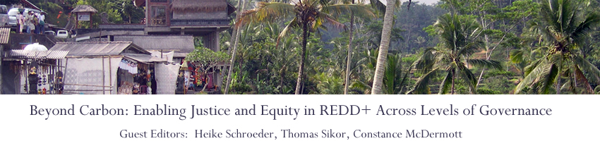 Beyond Carbon: Enabling Justice and Equity in REDD+ Across Levels of Governance